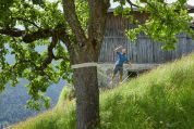 Ein Mann balanciert barfuss auf einer Slackline.  Er hat braunes Haar und einen braunen Bart und trägt ein blaues T-Shirt und graue Shorts. Die Slackline kommt aus dem Fenster eines Hauses im Hintergrund raus und ist um den Baum, den man im Vordergrund sieht, befestigt. Die Szene befindet sich an einem grasigem Hang und im Hintergrund sieht man einen Wald.  Ein Mann balanciert barfuss auf einer Slackline.  Er hat braunes Haar und einen braunen Bart und trägt ein blaues T-Shirt und graue Shorts. Die Slackline kommt aus dem Fenster eines Hauses im Hintergrund raus und ist um den Baum, den man im Vordergrund sieht, befestigt. Die Szene befindet sich an einem grasigem Hang und im Hintergrund sieht man einen Wald.